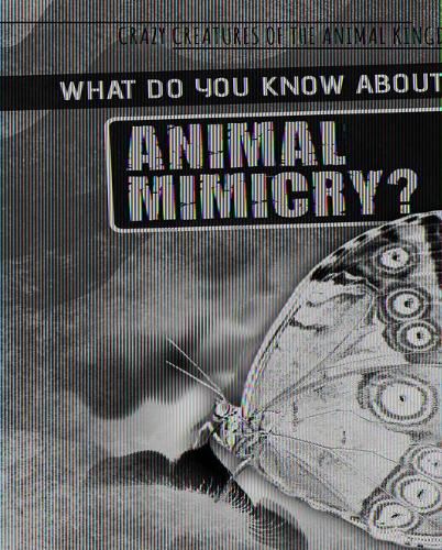 Cover image for What Do You Know about Animal Mimicry?