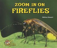 Cover image for Zoom in on Fireflies