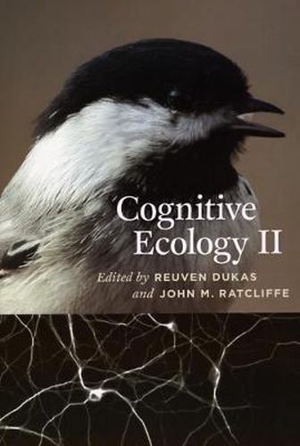 Cover image for Cognitive Ecology II