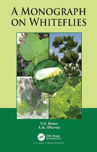 Cover image for A Monograph on Whiteflies