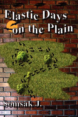 Cover image for Elastic Days on the Plain