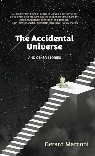 Cover image for The Accidental Universe and Other Stories