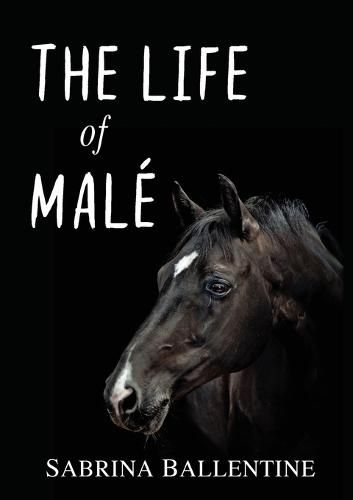 Cover image for The Life of Male