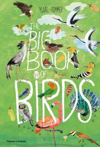 Cover image for The Big Book of Birds