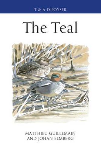 Cover image for The Teal