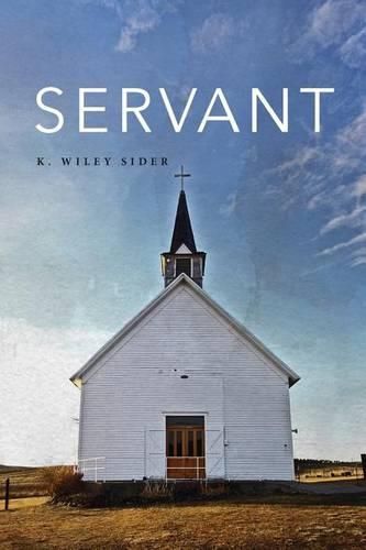 Cover image for Servant