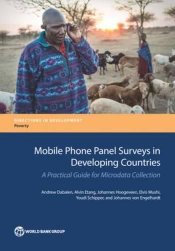 Cover image for Mobile phone panel surveys in developing countries: a practical guide for microdata collection