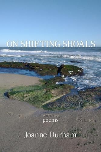 Cover image for On Shifting Shoals