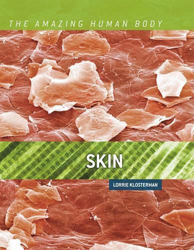 Cover image for Skin