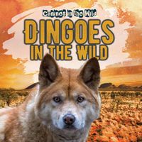 Cover image for Dingoes in the Wild