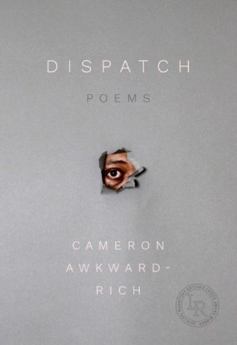 Cover image for Dispatch: Poems