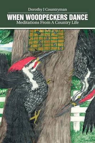 Cover image for When Woodpeckers Dance: Meditations From A Country Life