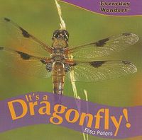 Cover image for It's a Dragonfly!