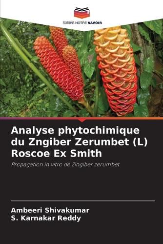 Cover image for Analyse phytochimique du Zngiber Zerumbet (L) Roscoe Ex Smith