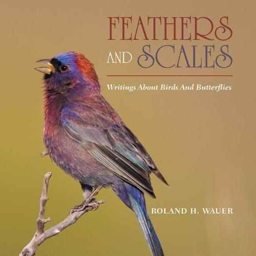 Cover image for Feathers and Scales: Writings About Birds and Butterflies