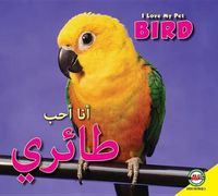 Cover image for Bird: Arabic-English Bilingual Edition