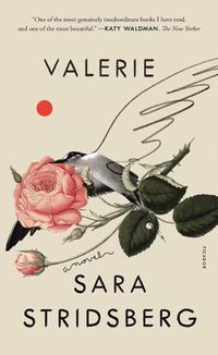 Cover image for Valerie: Or, the Faculty of Dreams: A Novel