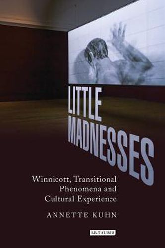 Cover image for Little Madnesses: Winnicott, Transitional Phenomena & Cultural Experience