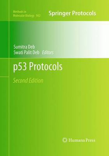 Cover image for p53 Protocols