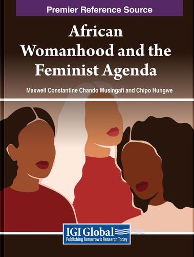 Cover image for African Womanhood and the Feminist Agenda