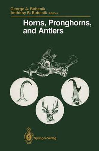 Cover image for Horns, Pronghorns, and Antlers: Evolution, Morphology, Physiology, and Social Significance