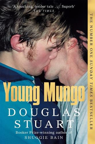 Cover image for Young Mungo