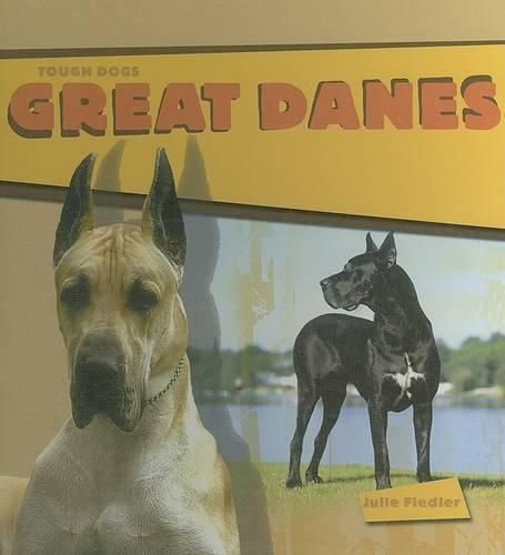 Cover image for Great Danes