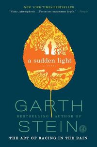 Cover image for A Sudden Light
