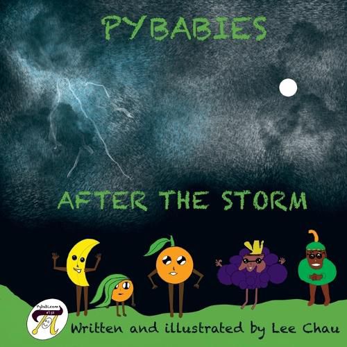 Cover image for Pybabies After the Storm