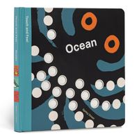 Cover image for Spring Street Touch and Feel: Ocean
