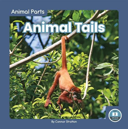 Cover image for Animal Parts: Animal Tails