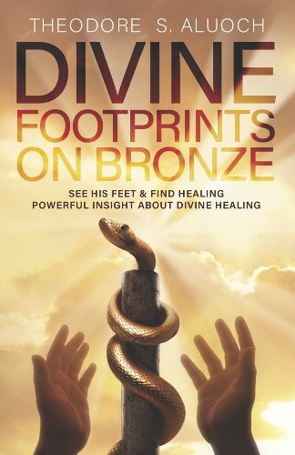 Cover image for Divine Footprints on Bronze