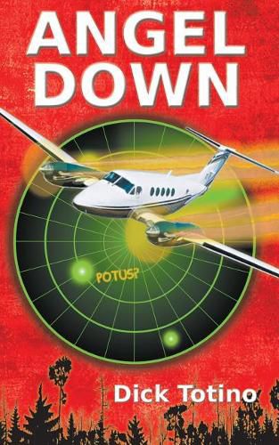 Cover image for Angel Down