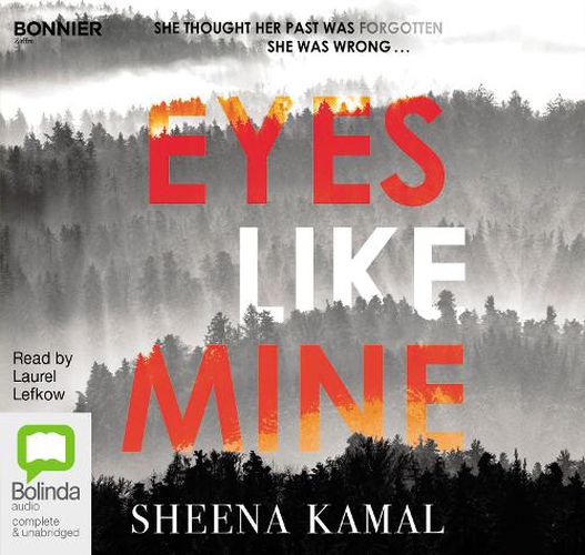 Cover image for Eyes Like Mine