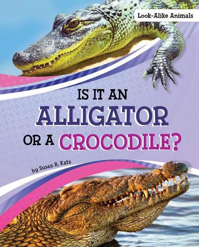 Is it an Alligator or a Crocodile