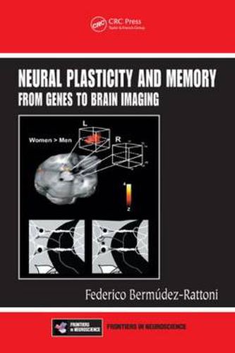 Cover image for Neural Plasticity and Memory: From Genes to Brain Imaging