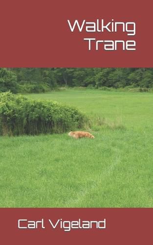 Cover image for Walking Trane