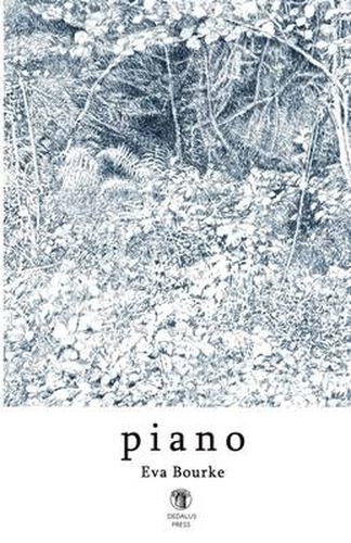 Cover image for Piano