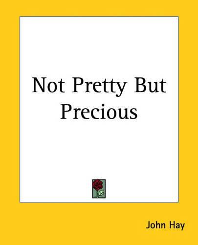 Cover image for Not Pretty But Precious