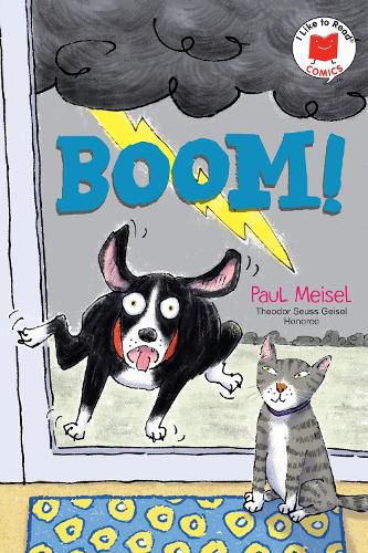 Cover image for Boom!
