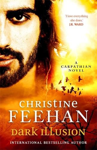 Cover image for Dark Illusion