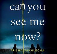 Cover image for Can You See Me Now?