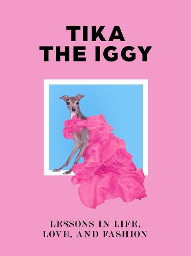 Cover image for Tika the Iggy