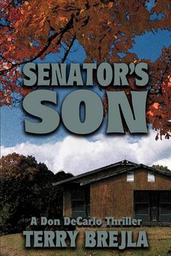 Cover image for Senator's Son