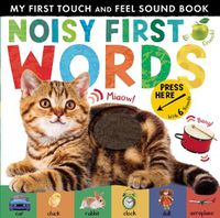 Cover image for Noisy First Words: My First Touch and Feel Sound Book