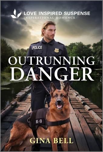 Cover image for Outrunning Danger