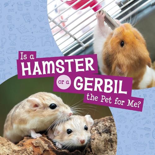 Cover image for Is a Hamster or a Gerbil the Pet for Me?