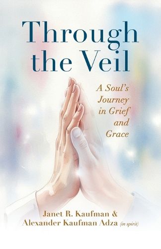Cover image for Through the Veil
