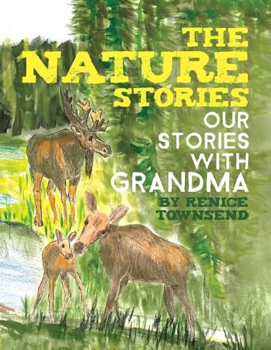 Cover image for The Nature Stories: Our Stories with Grandma