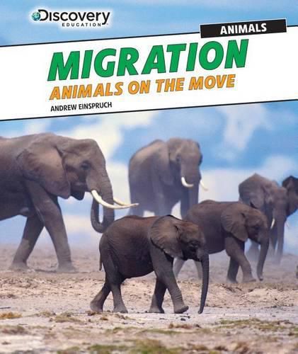 Migration: Animals on the Move